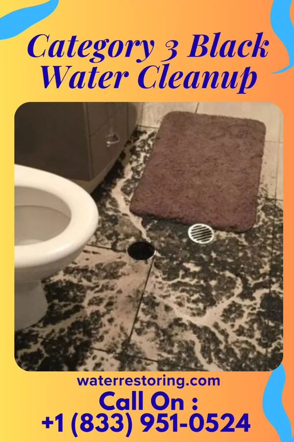 Category 3 Black Water Cleanup in Franklin, NY