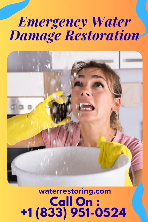 Emergency Water Damage Restoration in Franklin, NY